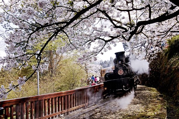 阿里山小火車