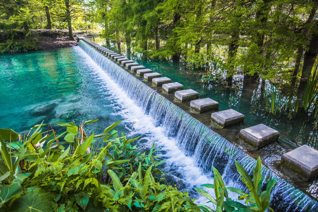 雲山水植物農場
