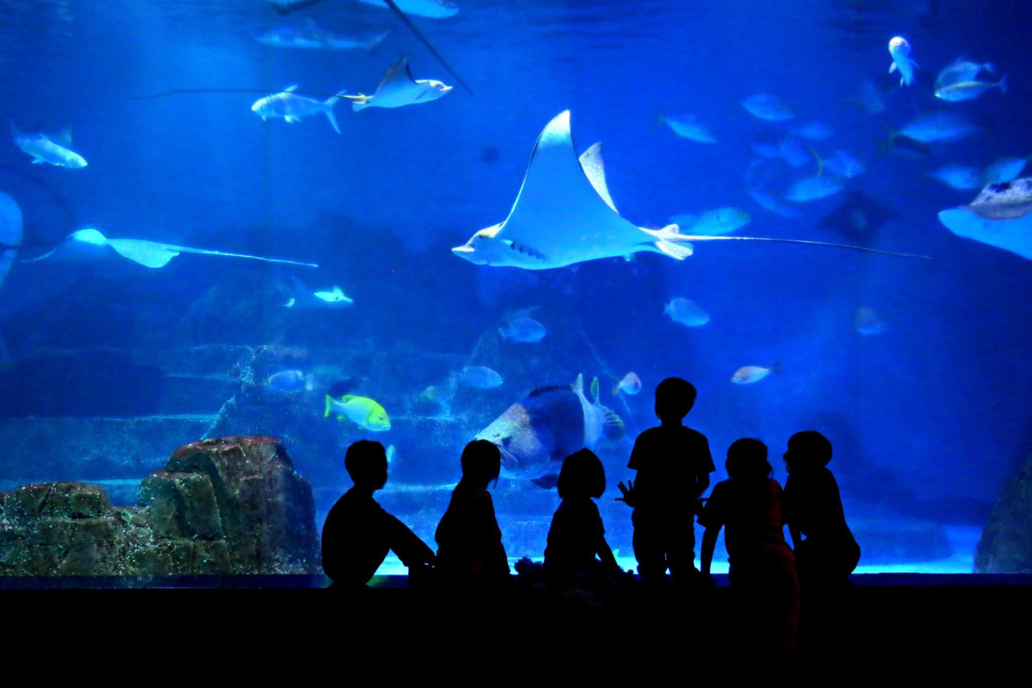 遠雄海洋公園